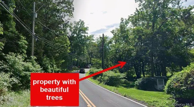 00 Primrose Hill Road, Rhinebeck, NY 12572 - #3