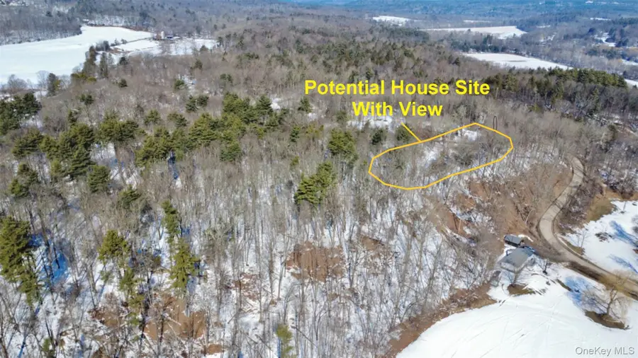 139 Mill Dam Road, Stone Ridge, NY 12484 - #3