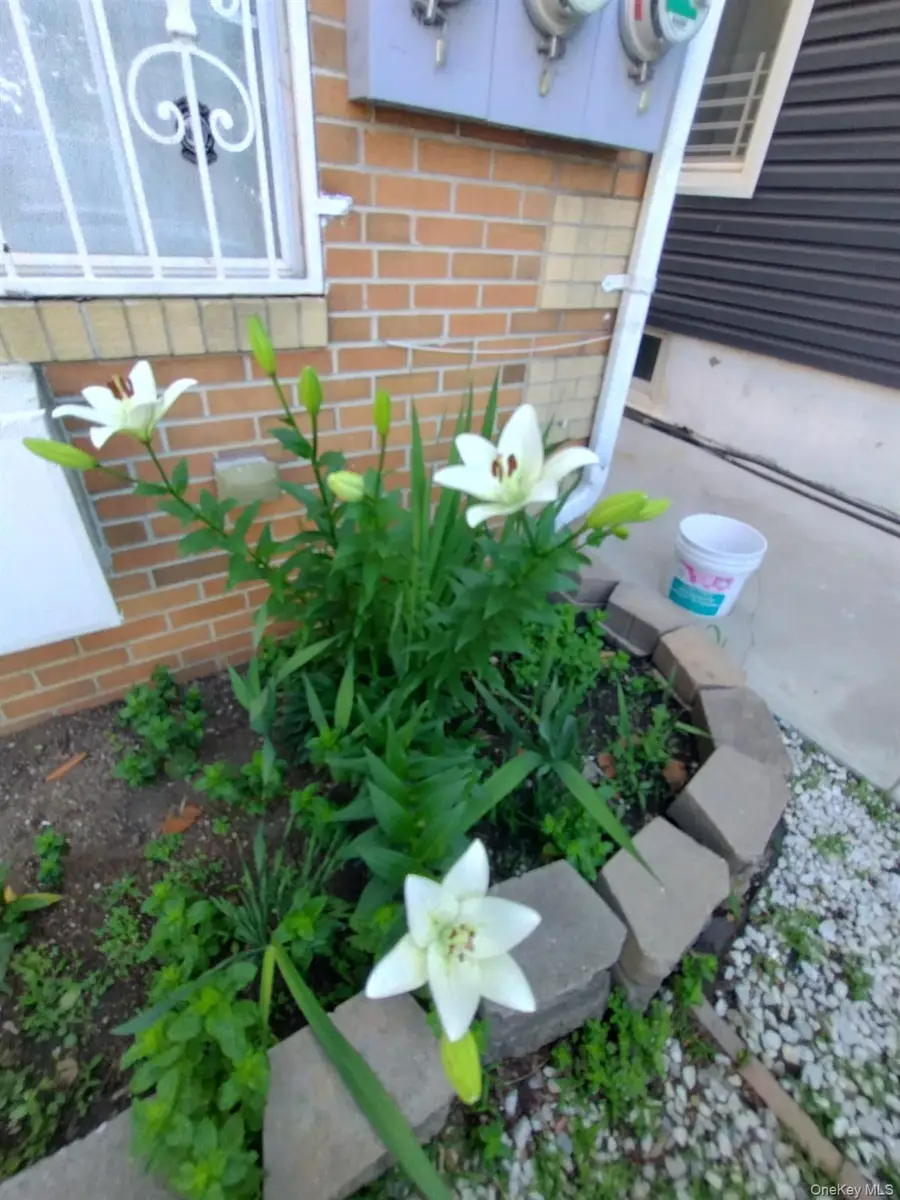 933 Tilden Street, Bronx, NY 10469 - #3