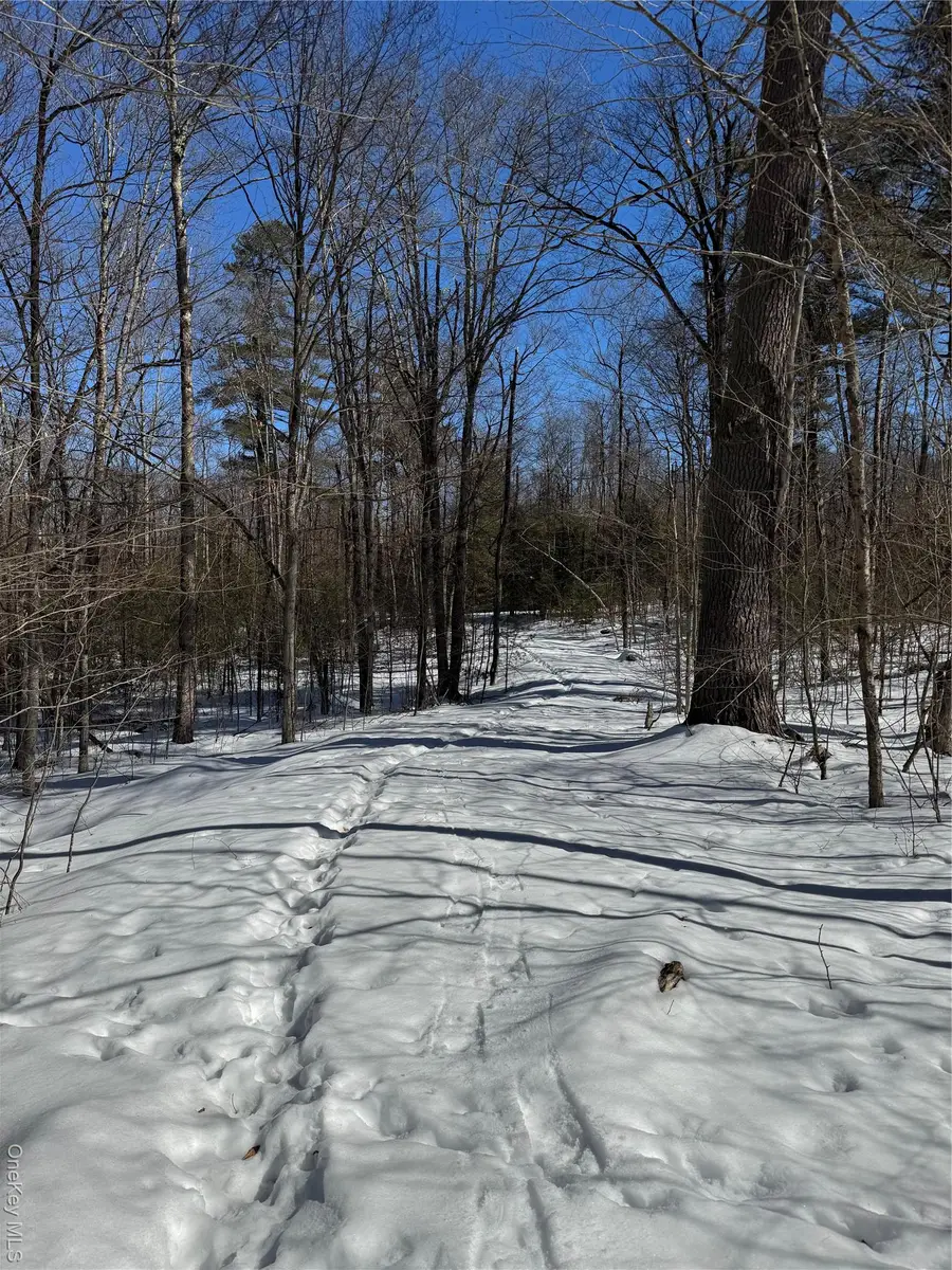 Lot 32 Woodstone Trail, Bethel, NY 12720 - #2