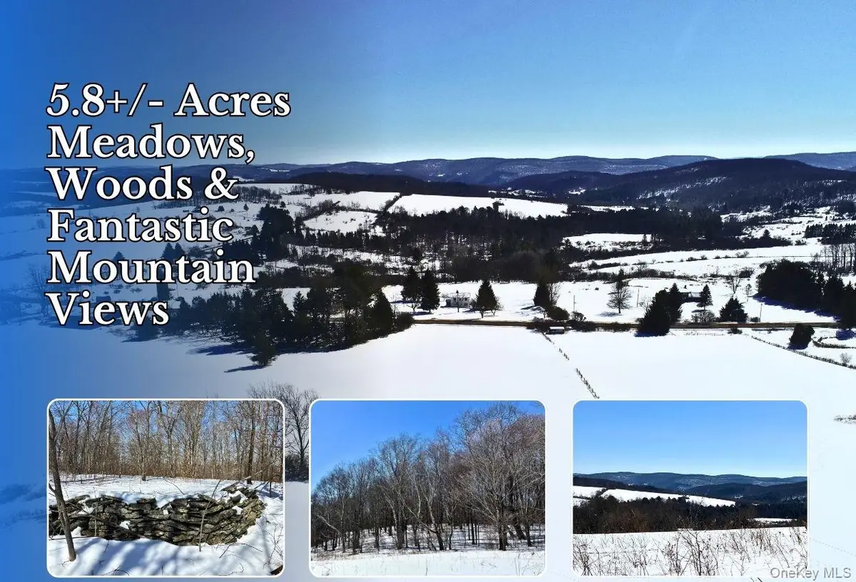 Lot 42 Hamden Hill Road, Hamden, NY 13782 - #1