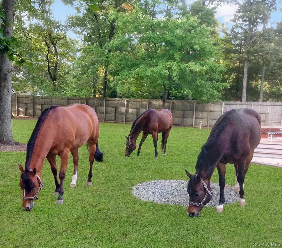 14 Hillside Avenue, Saint James, NY 11780 - #3