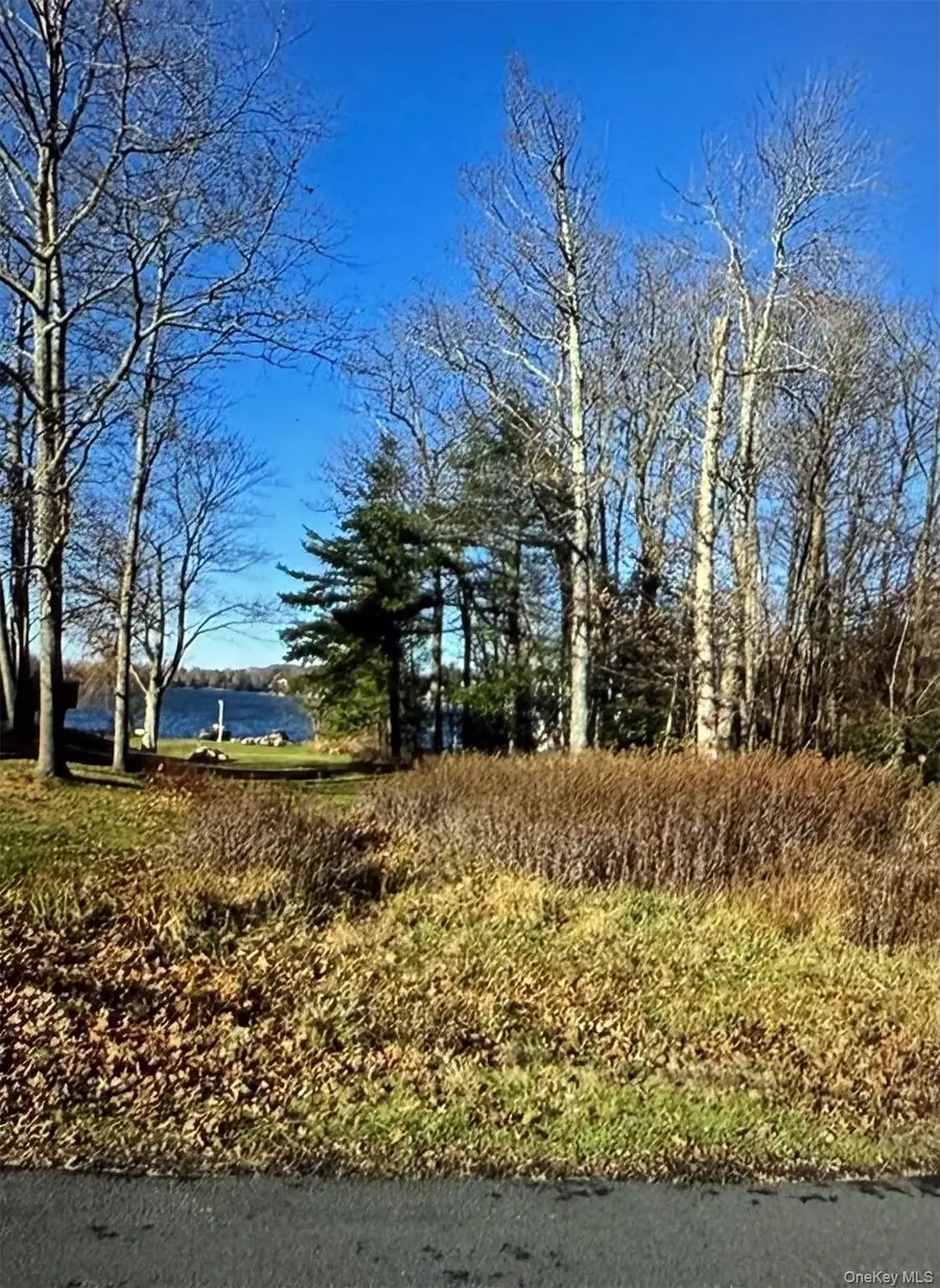 Lake Shore Drive E, Rock Hill, NY 12775 - #3