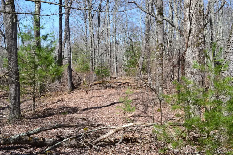 0 Garden House Road, Fallsburg, NY 12747 - #2