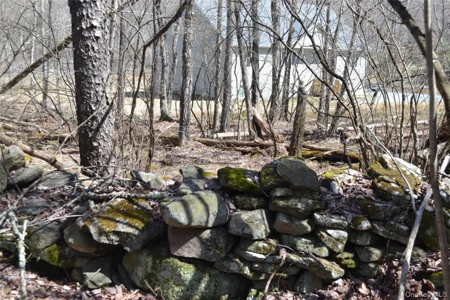 0 Garden House Road, Fallsburg, NY 12747 - #3