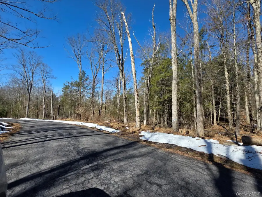 Gregory Road, Monticello, NY 12701 - #2