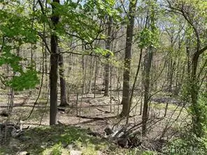 458 Pascack Road, Spring Valley, NY 10977 - #3