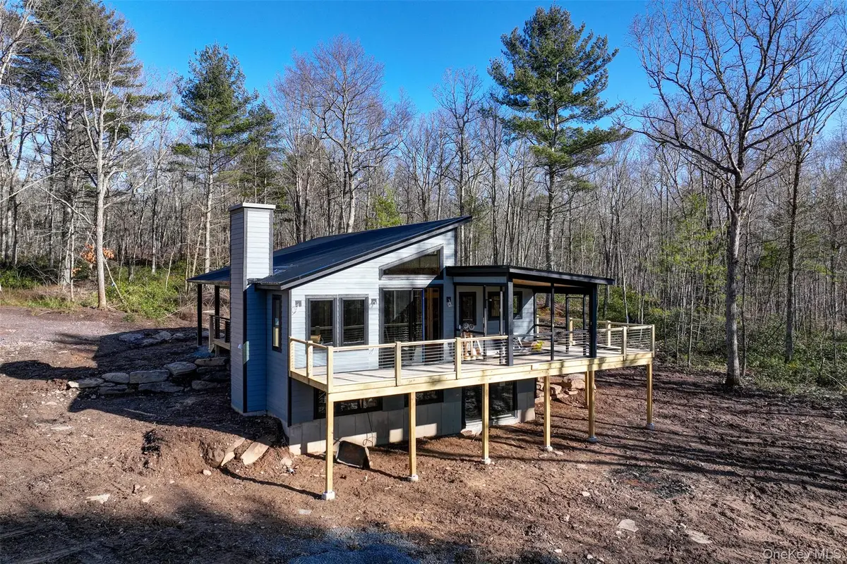 TBD Perry Pond Road, Narrowsburg, NY 12764 - #1