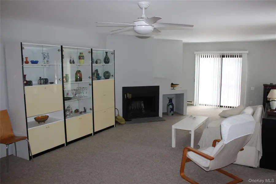 41 W Delaware Place, Smallwood, NY 12778 - #3