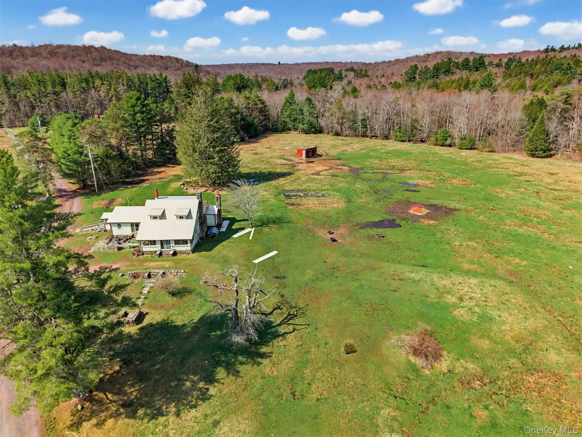 85 Lenape Lake Road, Livingston Manor, NY 12758 - #1