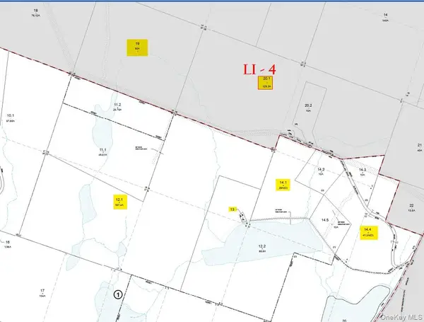 85 Lenape Lake Road, Livingston Manor, NY 12758