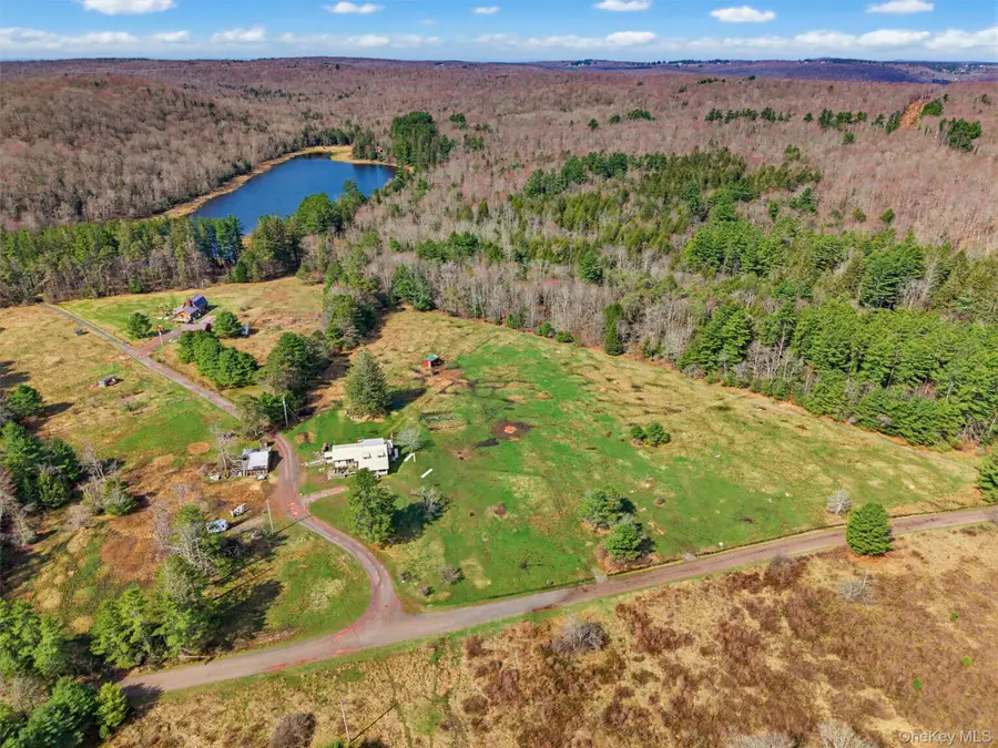 85 Lenape Lake Road, Livingston Manor, NY 12758 - #2