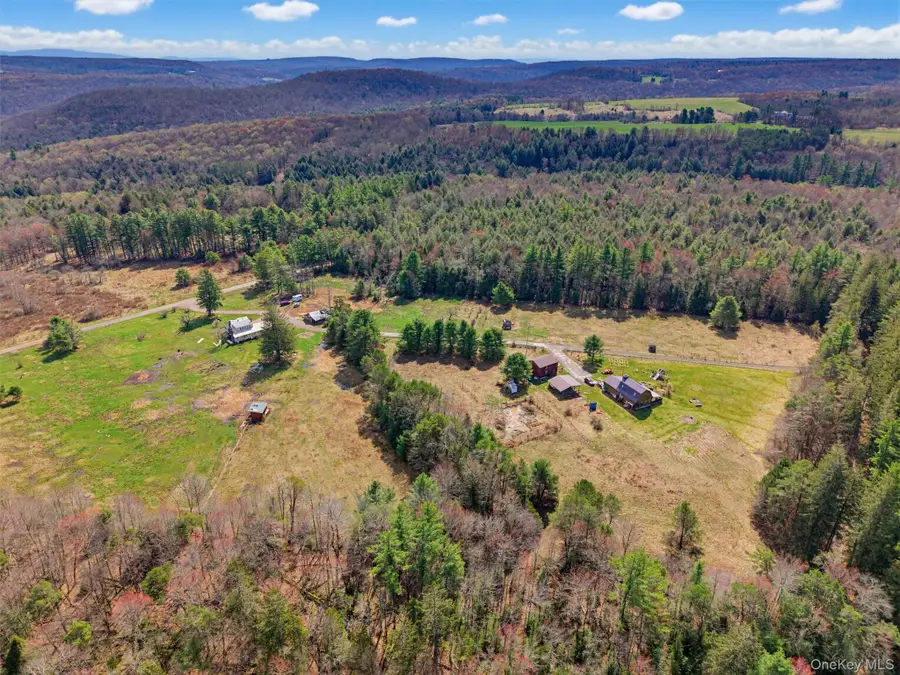 85 Lenape Lake Road, Livingston Manor, NY 12758 - #3