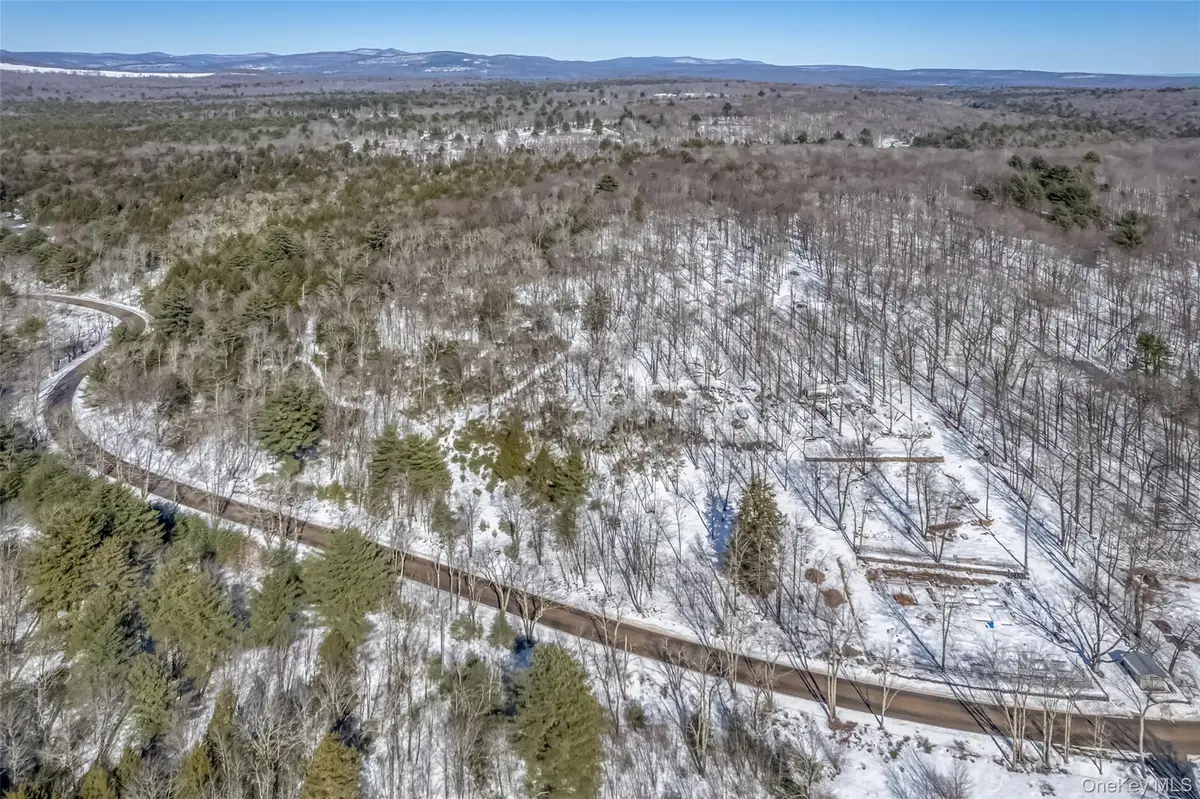 Camp Road, Wawarsing, NY 12489 - #1