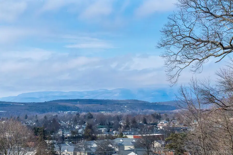 101 Florence Street, Kingston, NY 12401 - #2