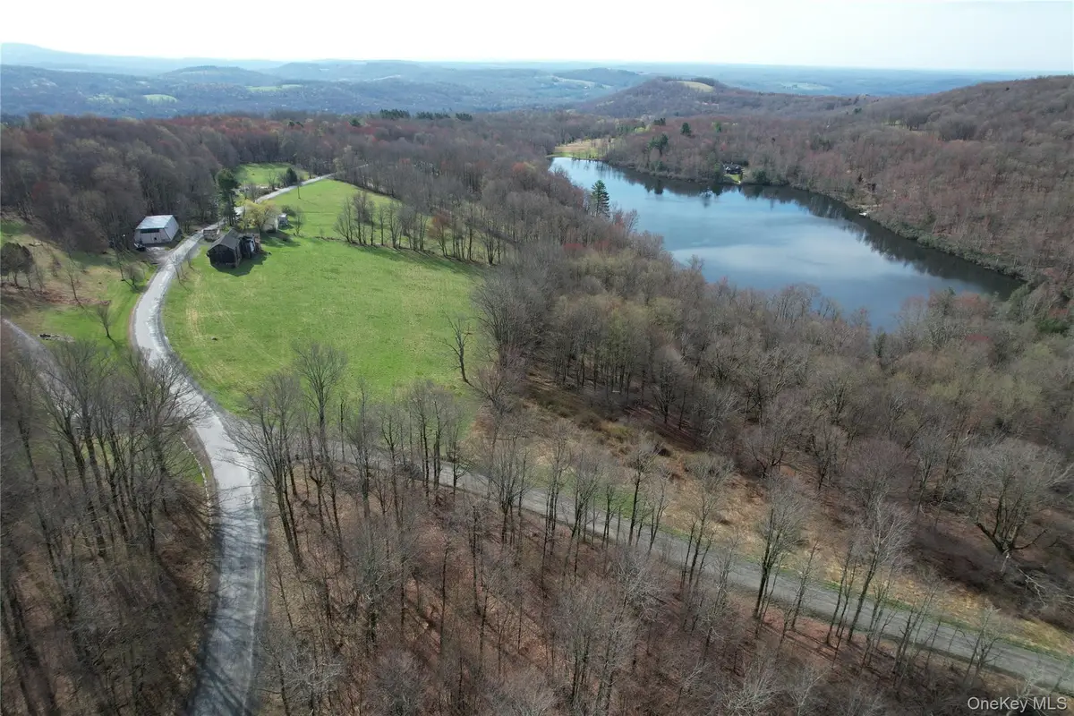 299-301 Stump Pond Road, Livingston Manor, NY 12758 - #1