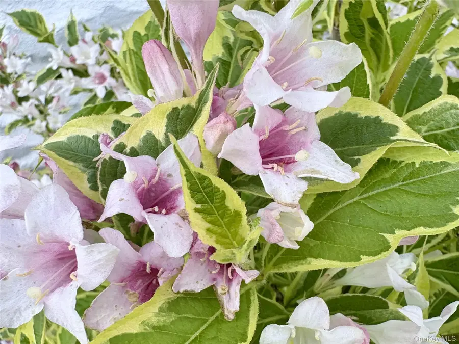 8 Harper Avenue, Montrose, NY 10548 - #2