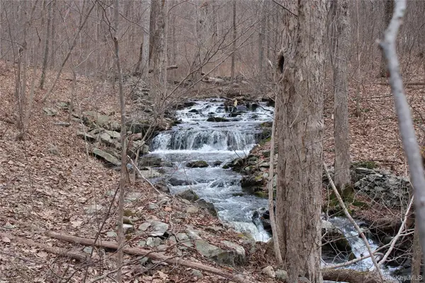 19 S Cross Road, Staatsburg, NY 12580