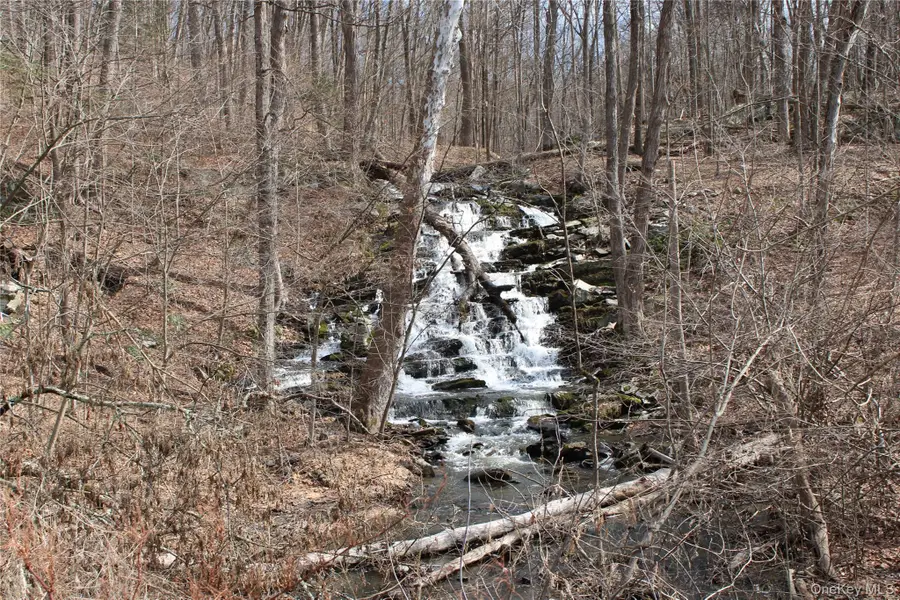 19 S Cross Road, Staatsburg, NY 12580 - #3