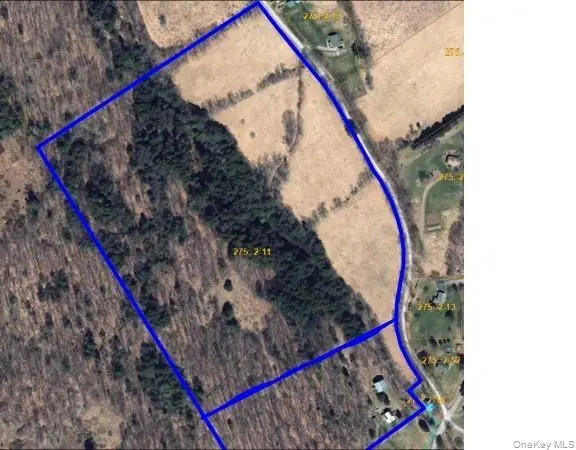 275-1-11 Budine Hill Road, Walton, NY 13856 - #1