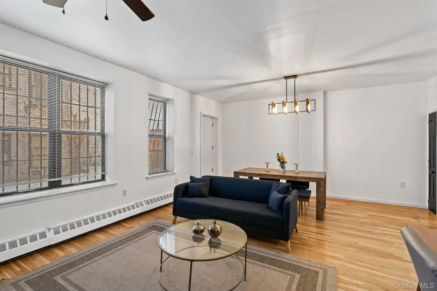 124 Thomas S Boyland Street, Brooklyn, NY 11233 - #3