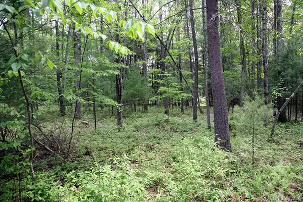 Country Road, Callicoon, NY 12723