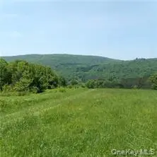 3190 County Highway 22, Walton, NY 13856 - #2