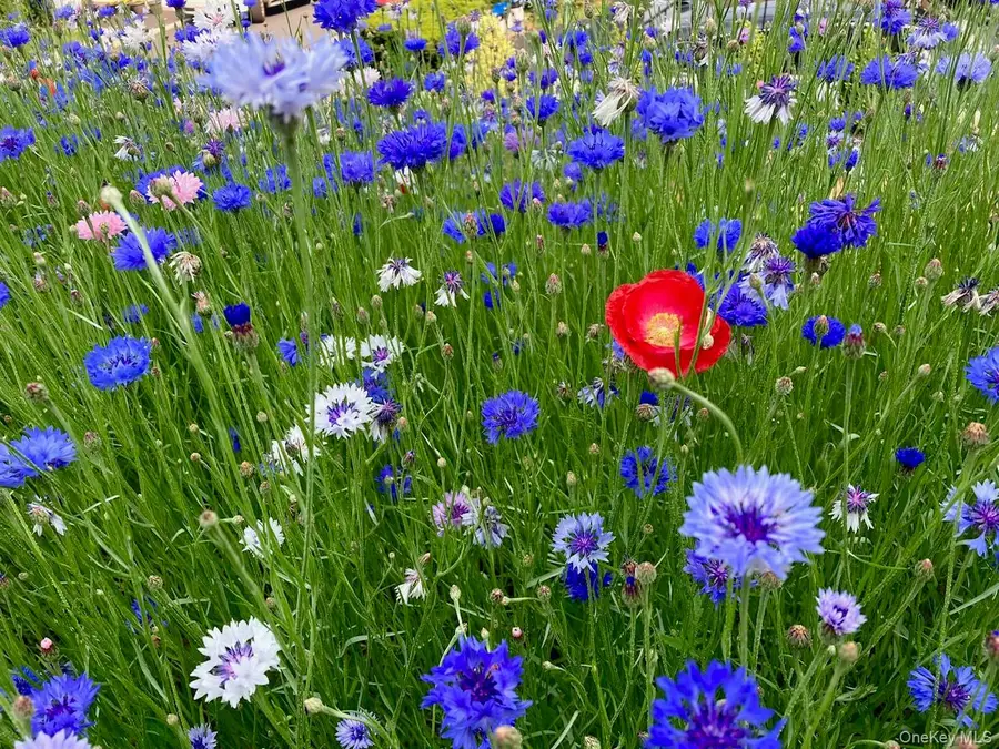 13 Irvington Street, Dobbs Ferry, NY 10522 - #3