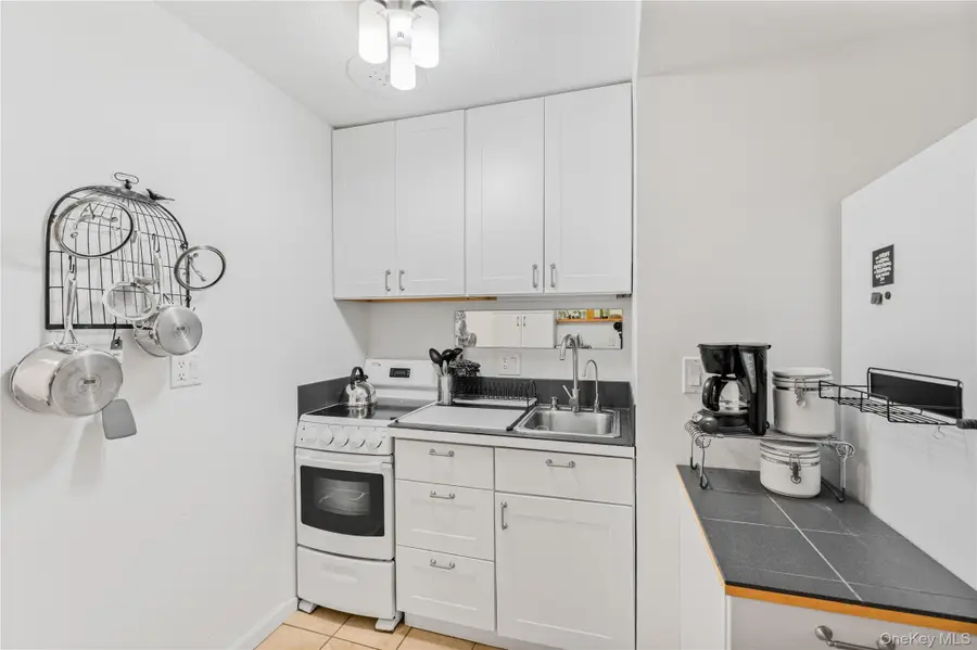 48 Brittany Drive #D, West Hurley, NY 12491 - #3