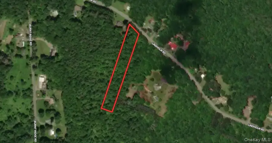 00 Lindholm Road, Fallsburg, NY 12733 - #2