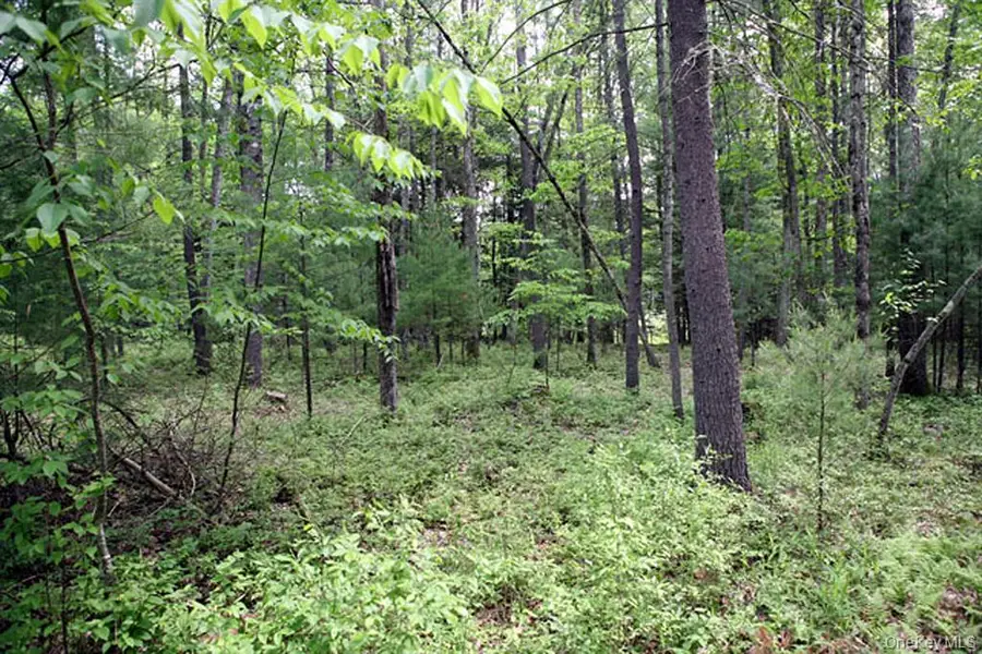 0 Neighborhood Road, Shirley, NY 11967 - #2