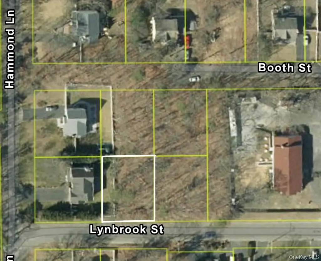 Lynbrook Street, Centereach, NY 11720 - #1