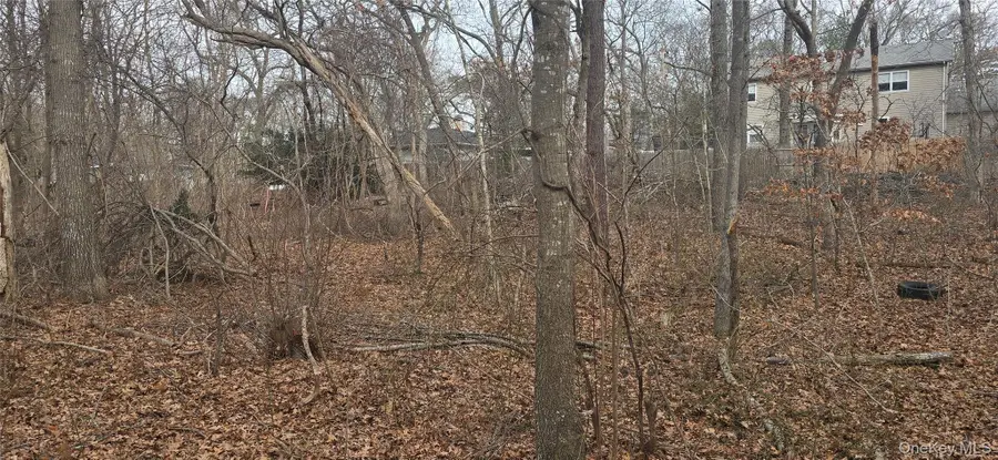 VL(46&47) Bedford Avenue, Mastic, NY 11950 - #3