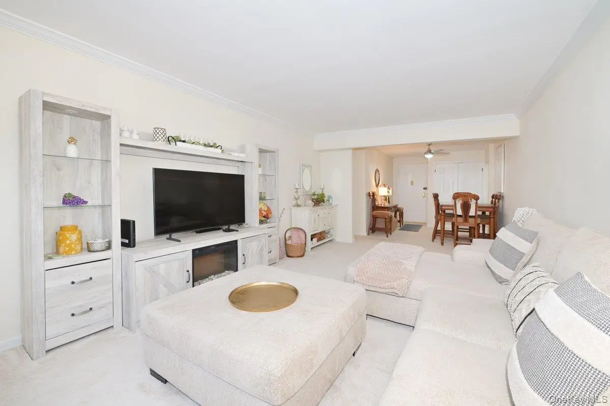 4 Birchwood Court #1O, Mineola, NY 11501 - #1