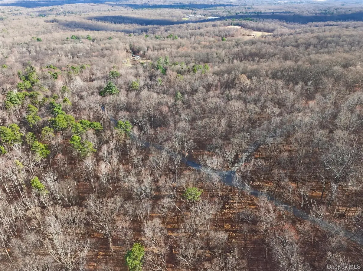 Lenni Lenape Avenue, Wurtsboro, NY 12790 - #1