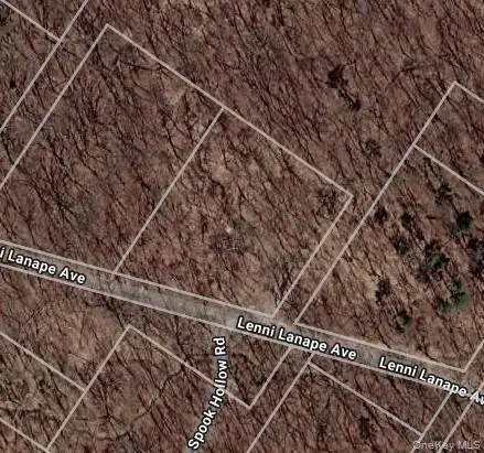 Lenni Lenape Avenue, Wurtsboro, NY 12790 - #3