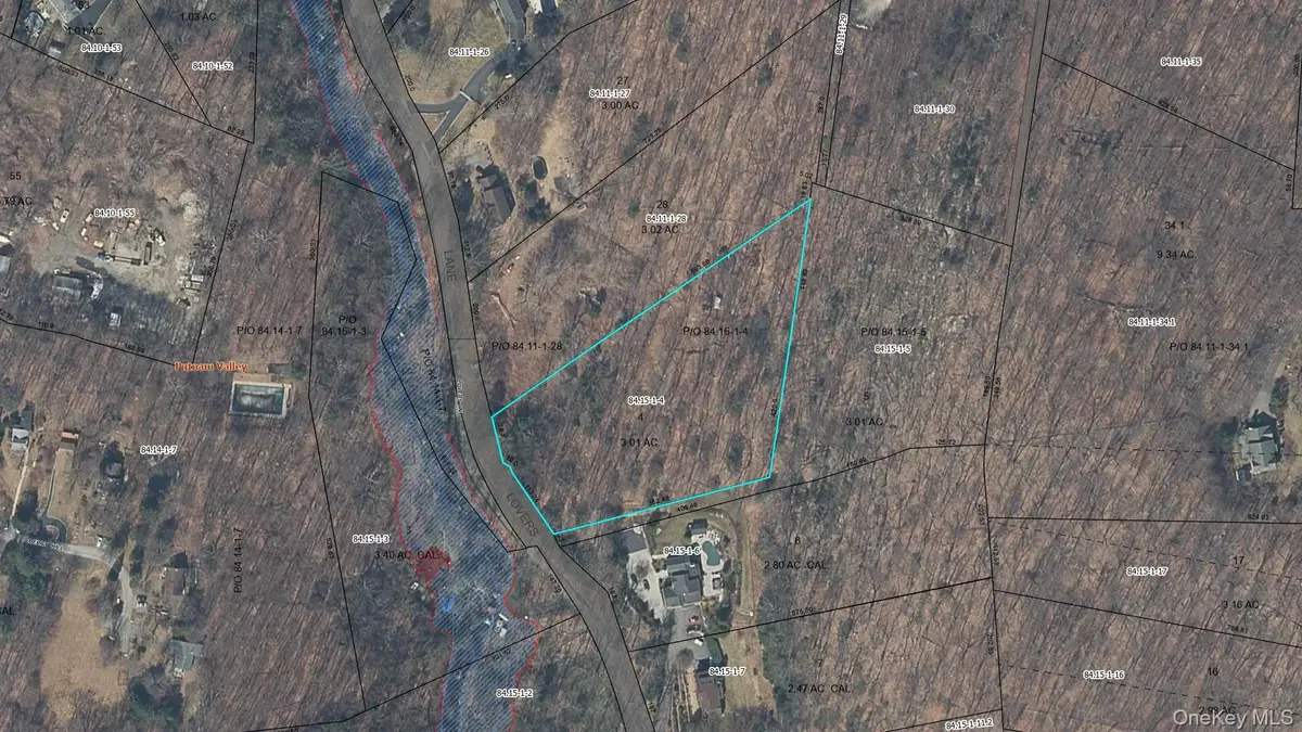 54 Lovers Lane, Putnam Valley, NY 10579 - #1