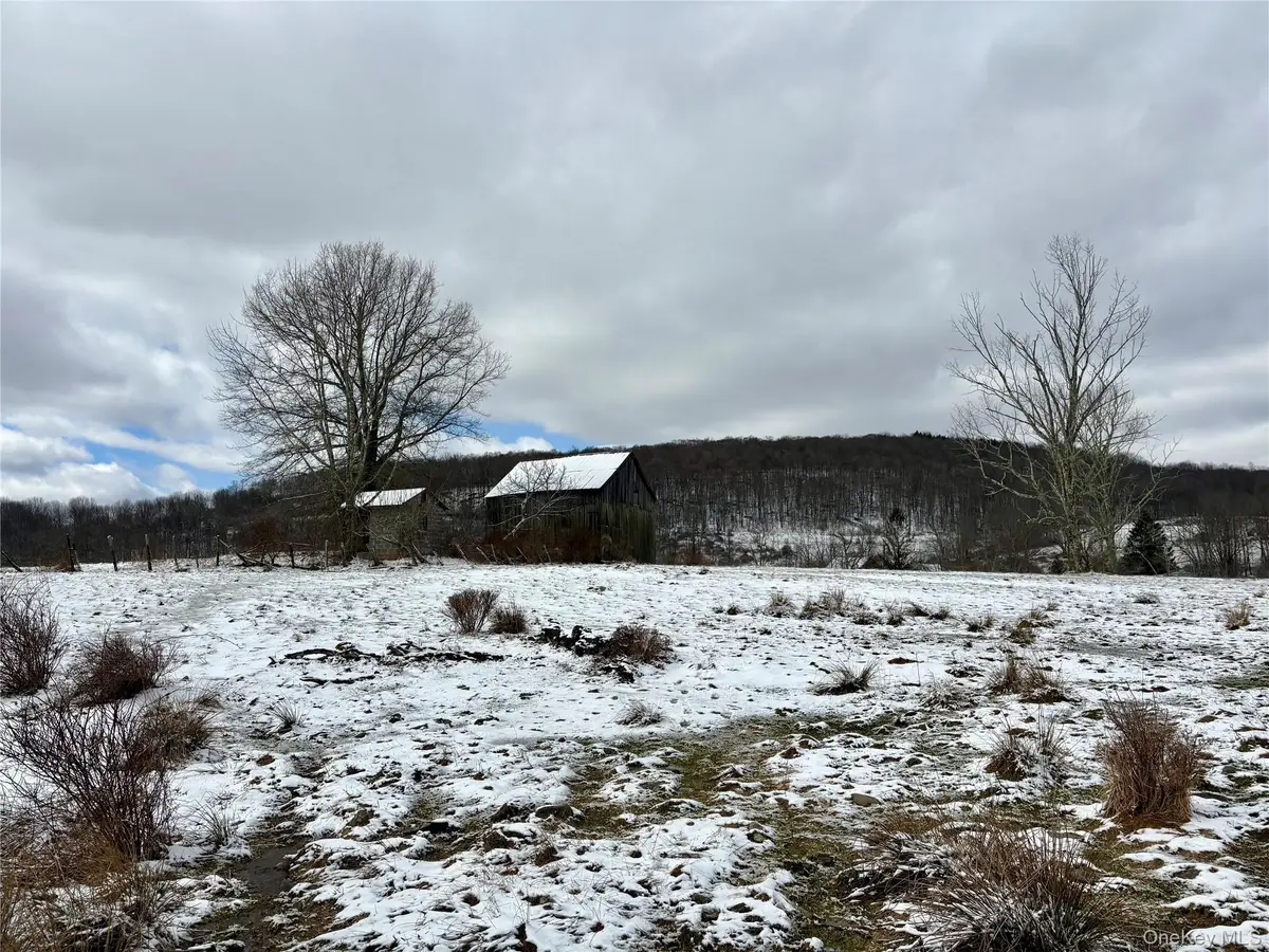 T R 28, Fremont Center, NY 12736 - #1