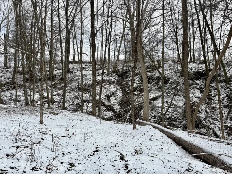 T R 28, Fremont Center, NY 12736 - #3