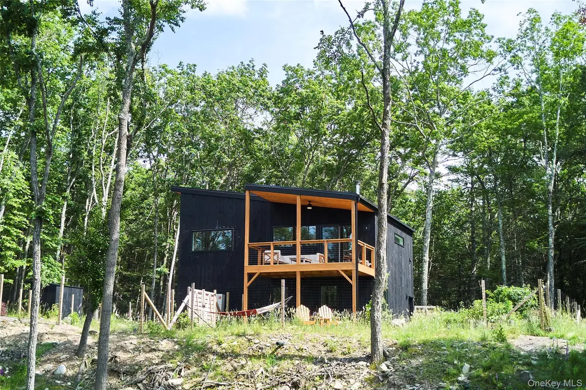 224 Upper Lumber Road, Glen Spey, NY 12737 - #1
