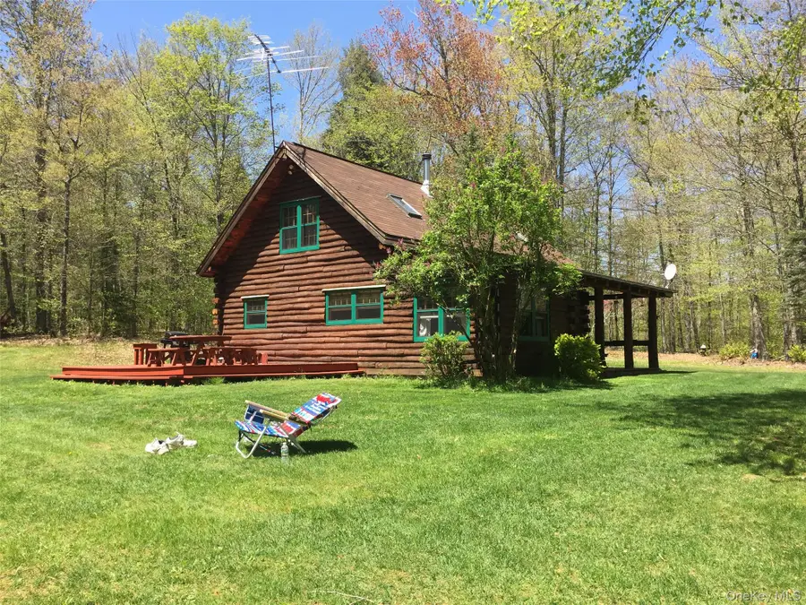 41 Maple Lane, Livingston Manor, NY 12758 - #2