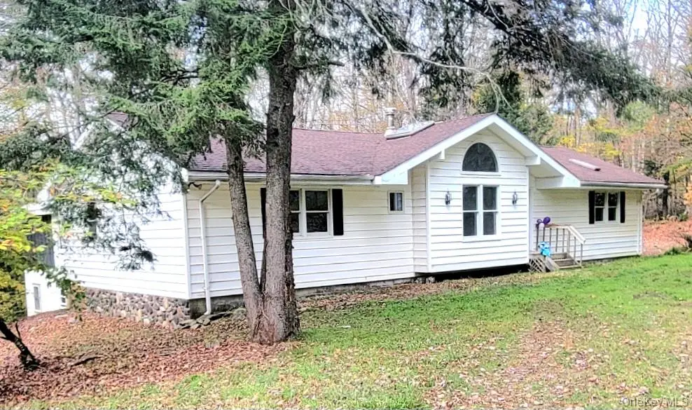 21 Browns Road, Livingston Manor, NY 12758 - #1