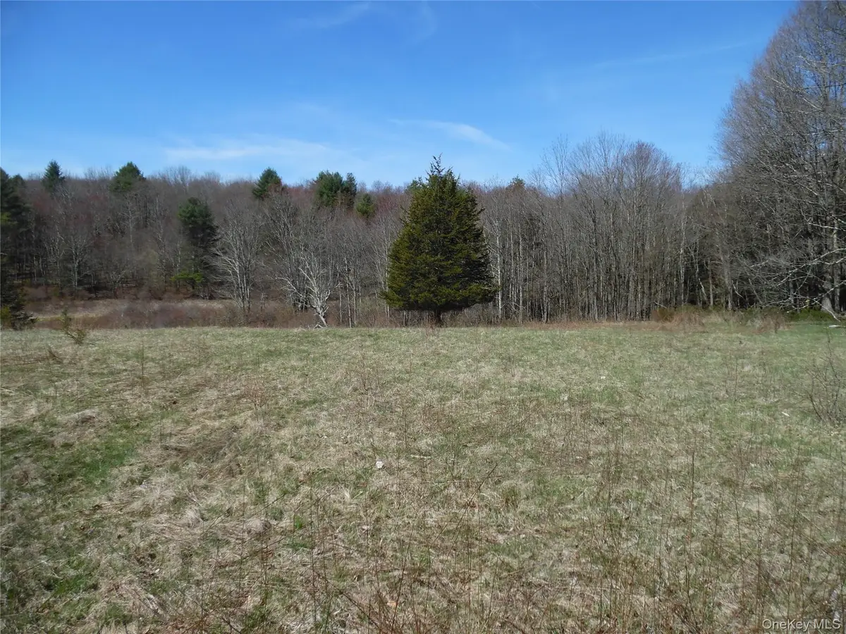 Creamery Road, Bethel, NY 12720 - #1