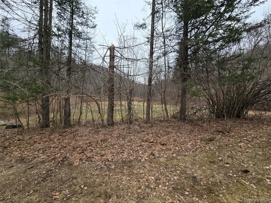 20 Peck Hollow Road, Shandaken, NY 12480 - #2