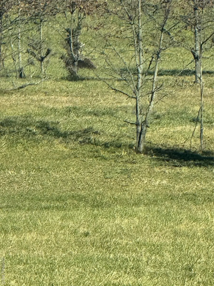 41 Enright Lane, Montgomery, NY 12549 - #2