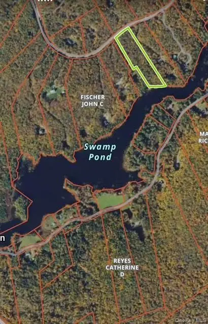 Mathias Weiden Drive, Narrowsburg, NY 12764