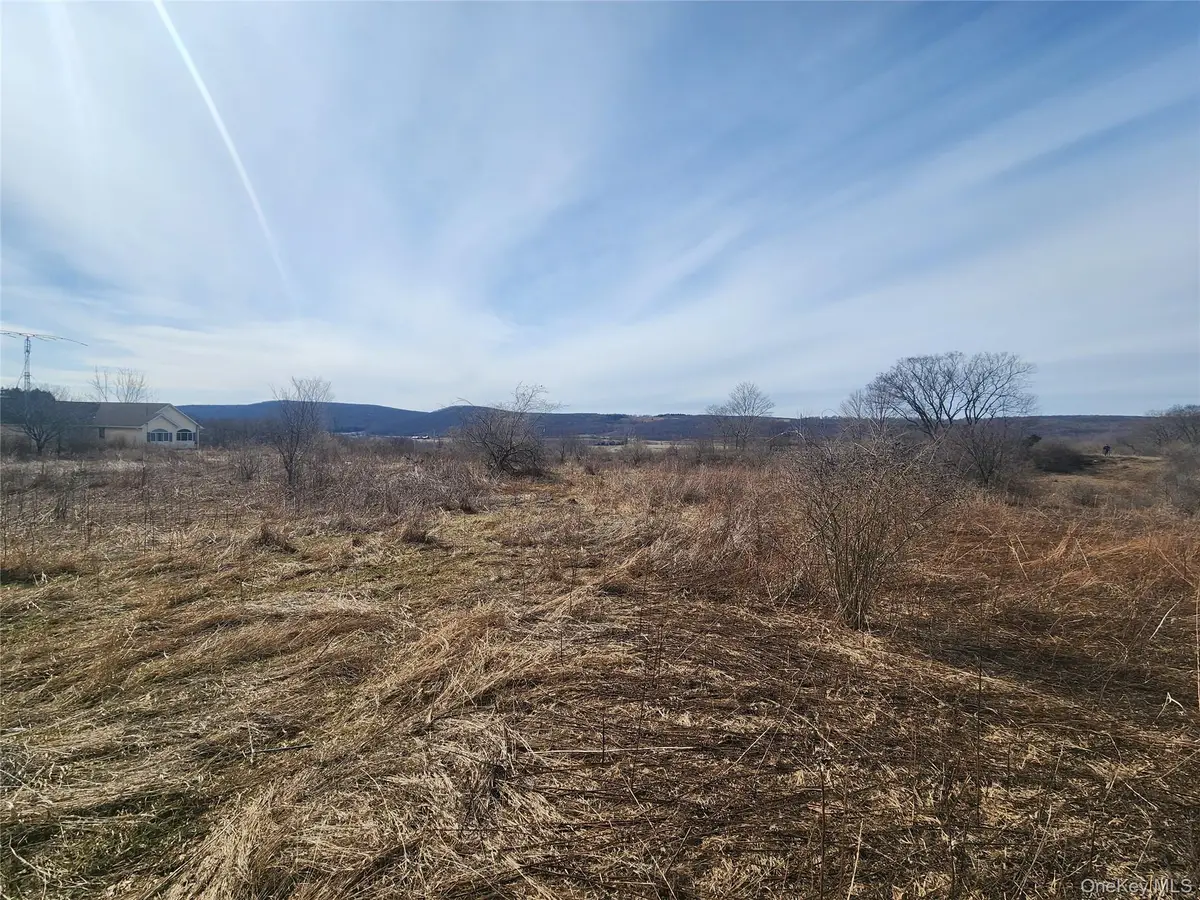 Lot # 3 Mountain Edge Lane, Millerton, NY 12546 - #1