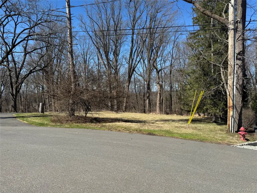 60 Locust Grove, Rhinebeck, NY 12572 - #3