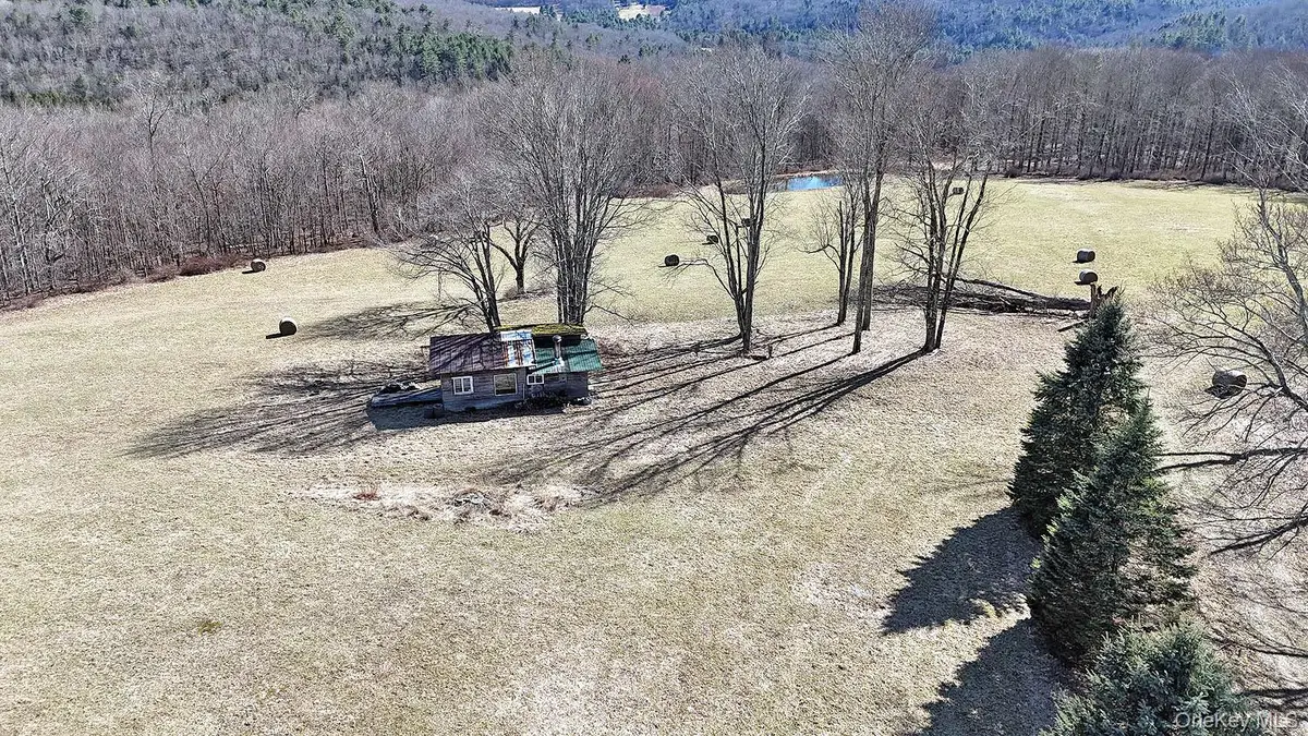 57 Boettger Road, Callicoon, NY 12723 - #1