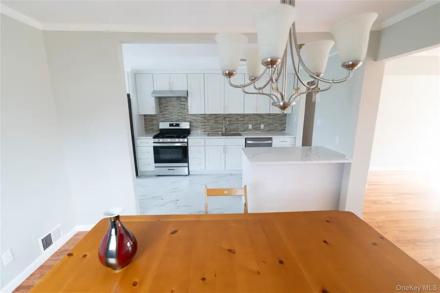 131 Ira Road, Syosset, NY 11791 - #3